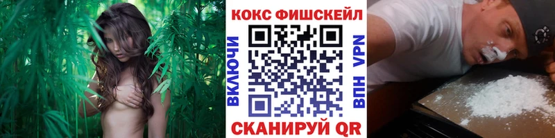 COCAIN Fish Scale Пермь