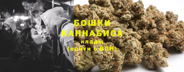 прущие грибы Арсеньев