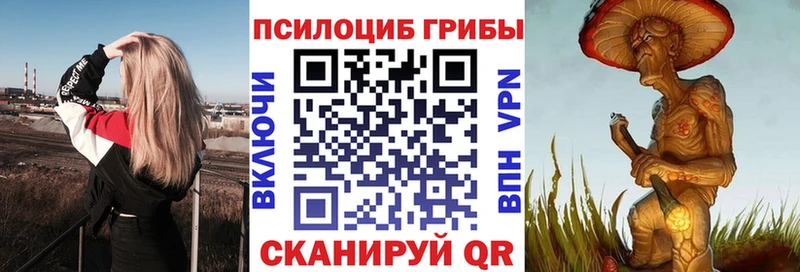 Галлюциногенные грибы мицелий  Пермь 