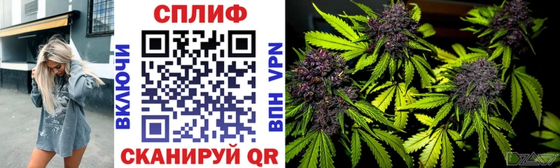 как найти наркотики  Пермь  Шишки марихуана AK-47 